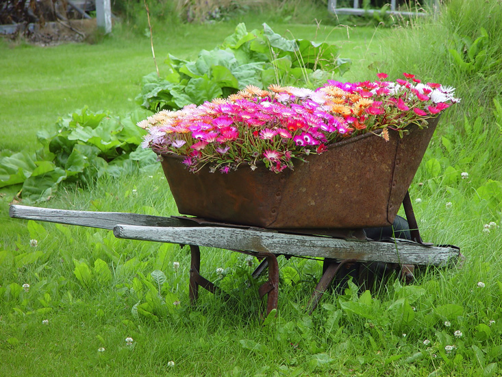 Brouette Décorative En Fer Pour Jardin - Pot De Fleurs Vintage, Décoration Extérieure élégante