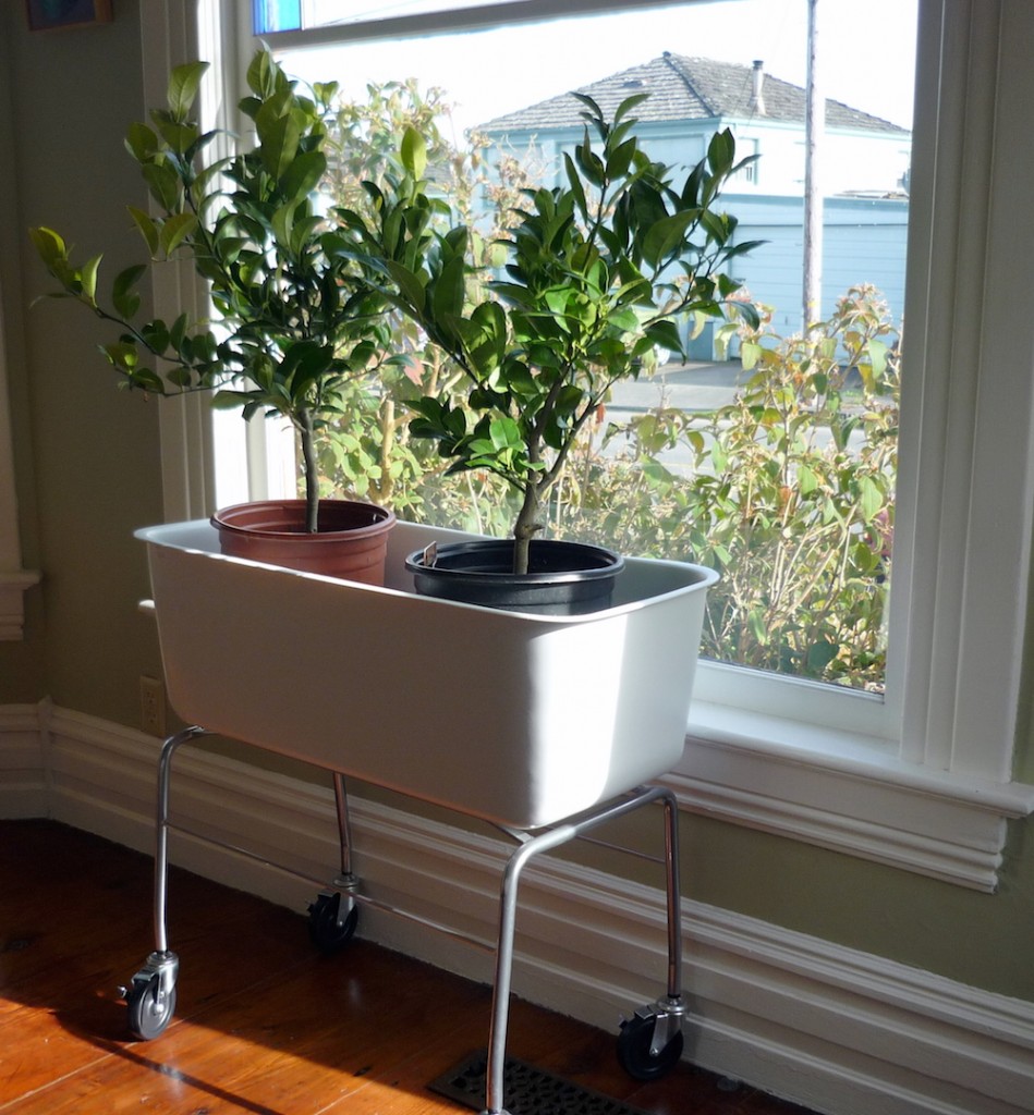 11 Innovative Fun Indoor Planter Ideas - Garden Lovers Club
