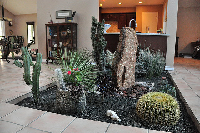 15 Cactus Garden Ideas Photos - Garden Lovers Club